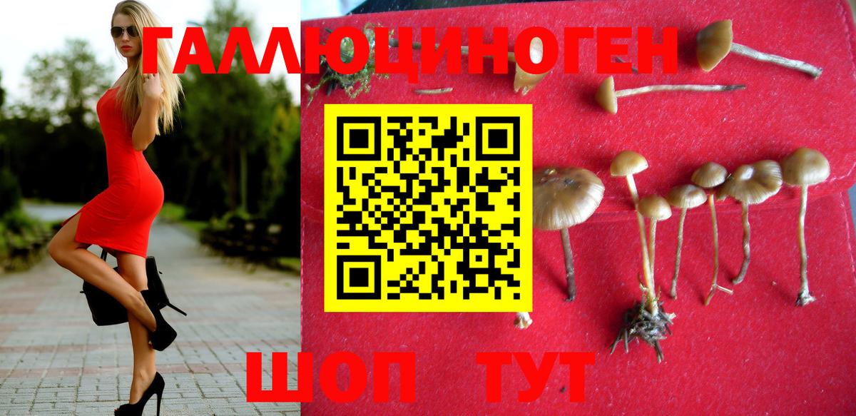 Галлюциногенные грибы прущие грибы  Псилоцибиновые грибы мицелий  купить наркотики цена  Вход с VPN  Кондопога 